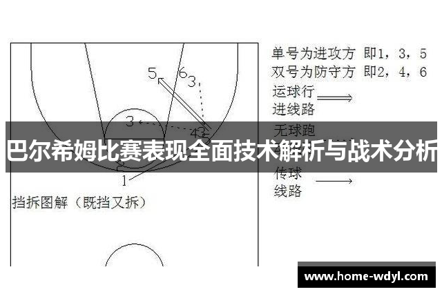 巴尔希姆比赛表现全面技术解析与战术分析