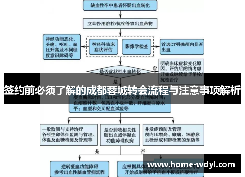 签约前必须了解的成都蓉城转会流程与注意事项解析
