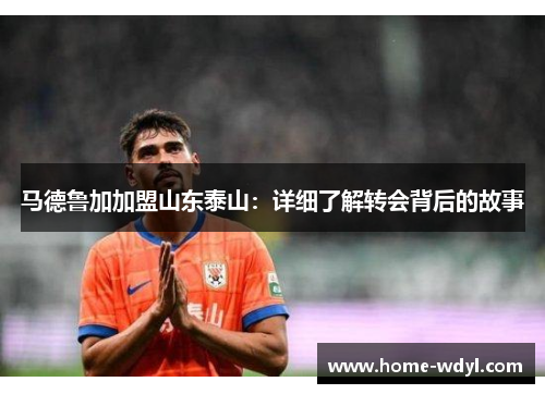 马德鲁加加盟山东泰山：详细了解转会背后的故事