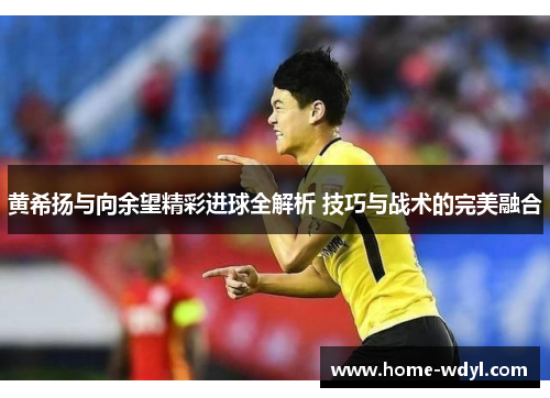 黄希扬与向余望精彩进球全解析 技巧与战术的完美融合